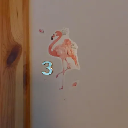 3 Flamingos *