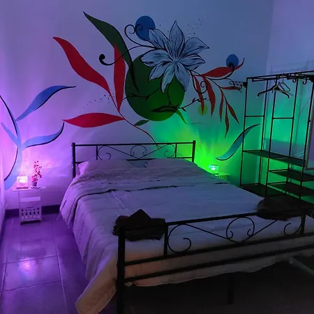 Homestay 3 Flamingos