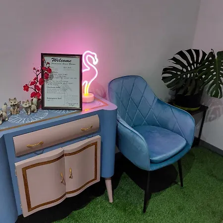 3 Flamingos * 세인트폴스베이